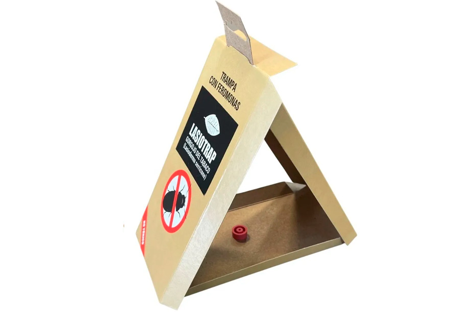 Trampa gorgojo del tabaco